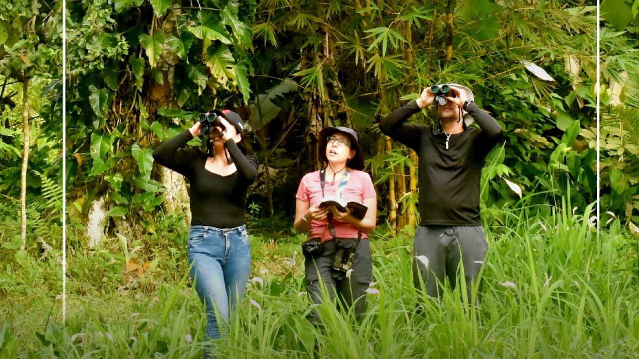 Aviturismo en Tumaco, una cita a ciegas con la naturaleza