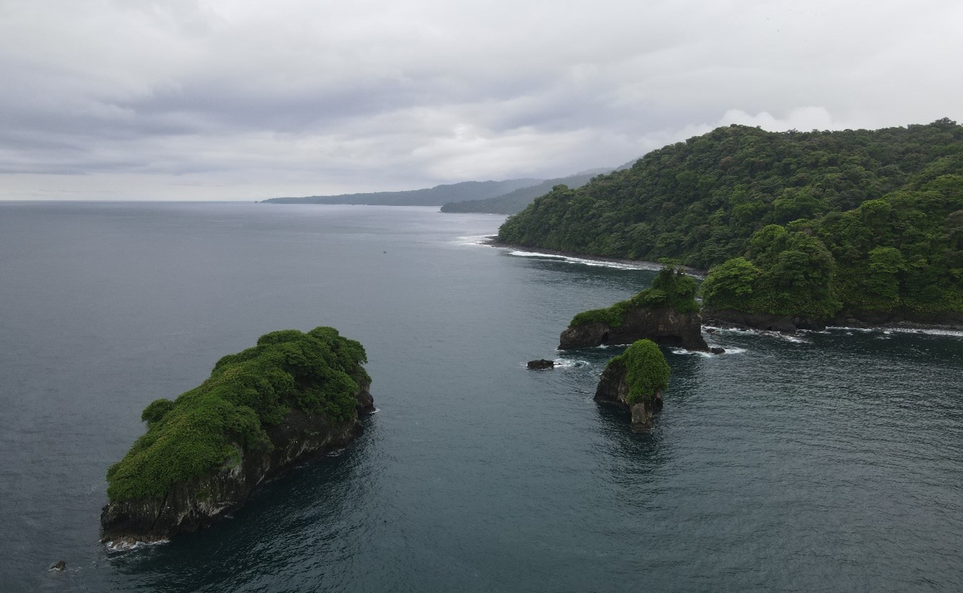 Nuquí, un destino inolvidable donde el mar y la selva se fusionan