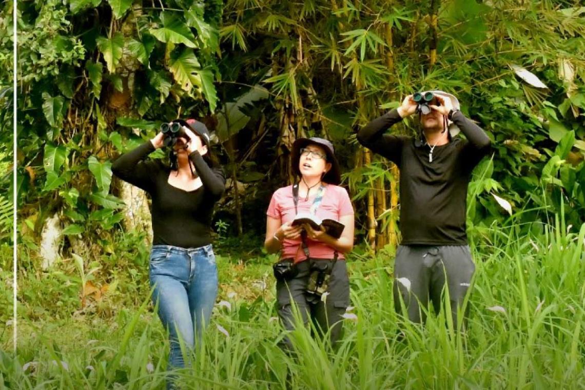Aviturismo en Tumaco, una cita a ciegas con la naturaleza 