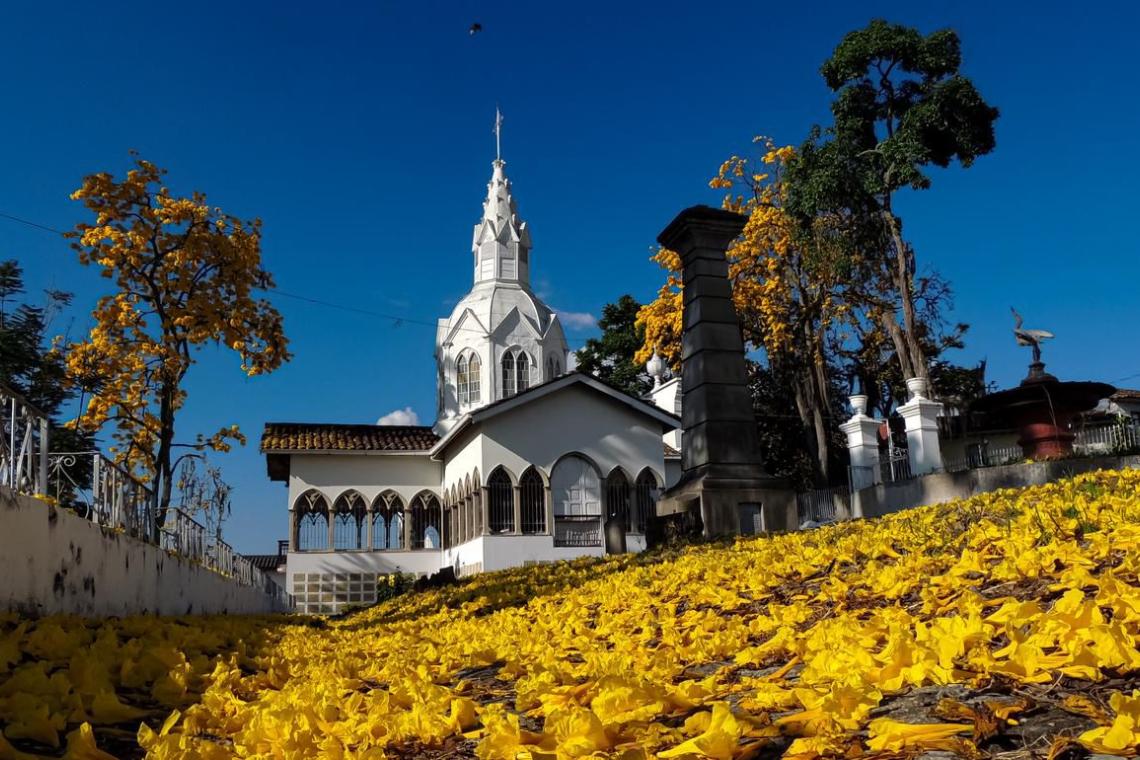 Foto: Alcald&iacute;a de Salamina.  Salamina (Caldas) Pueblo Patrimonio del Paisaje Cultural Cafetero, Patrimonio Mundial Unesco.