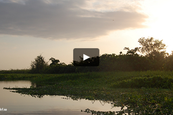 "Negocia Turismo" en Apartadó