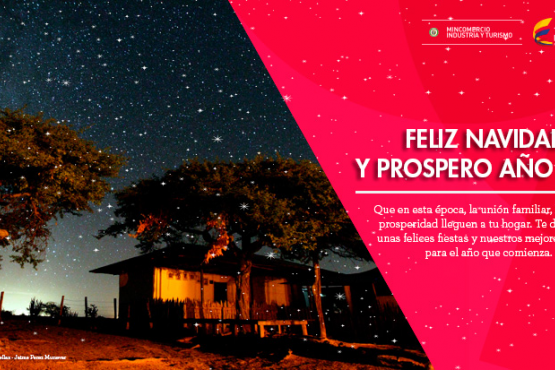 Navidad y Año Nuevo