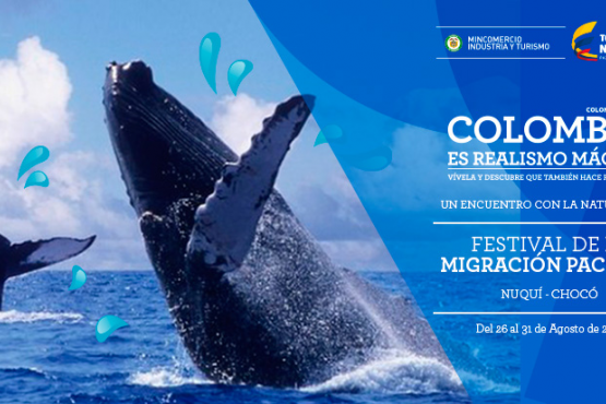 Festival de la Migración Pacífico