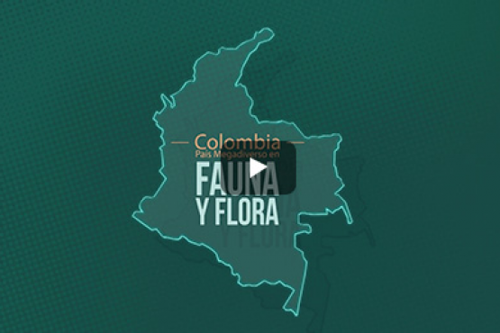 5º Congreso de Aviturismo