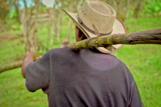 Agroturismo. Moniquirá - Boyacá