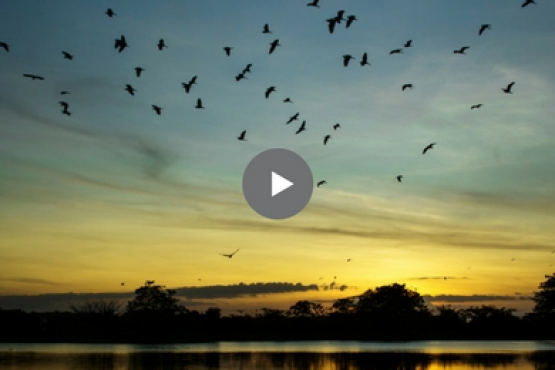 "Negocia Turismo" en Villavicencio