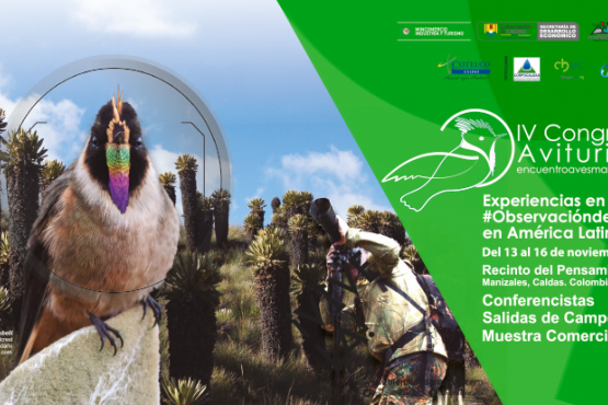 IV Congreso Aviturismo